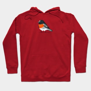 Scarlet Robin bird Hoodie